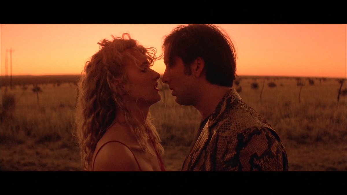 Evening viewing recommendation? On the Criterion Channel, watch David Lynch's WILD AT HEART (1990) in our Desert Trips collection! ❤️🔥 Lynch throws pulp melodrama, THE WIZARD OF OZ, surreal-kinky violence, and Elvis into a cauldron and brews this nightmarish soap opera in which outlaw lovers Sailor and Lula go on the run through a menacing South populated by a host of sinister weirdos. Adapted from the noir novel by Barry Gifford, WILD AT HEART is Lynch at both his far-out freakiest and most deliriously romantic.