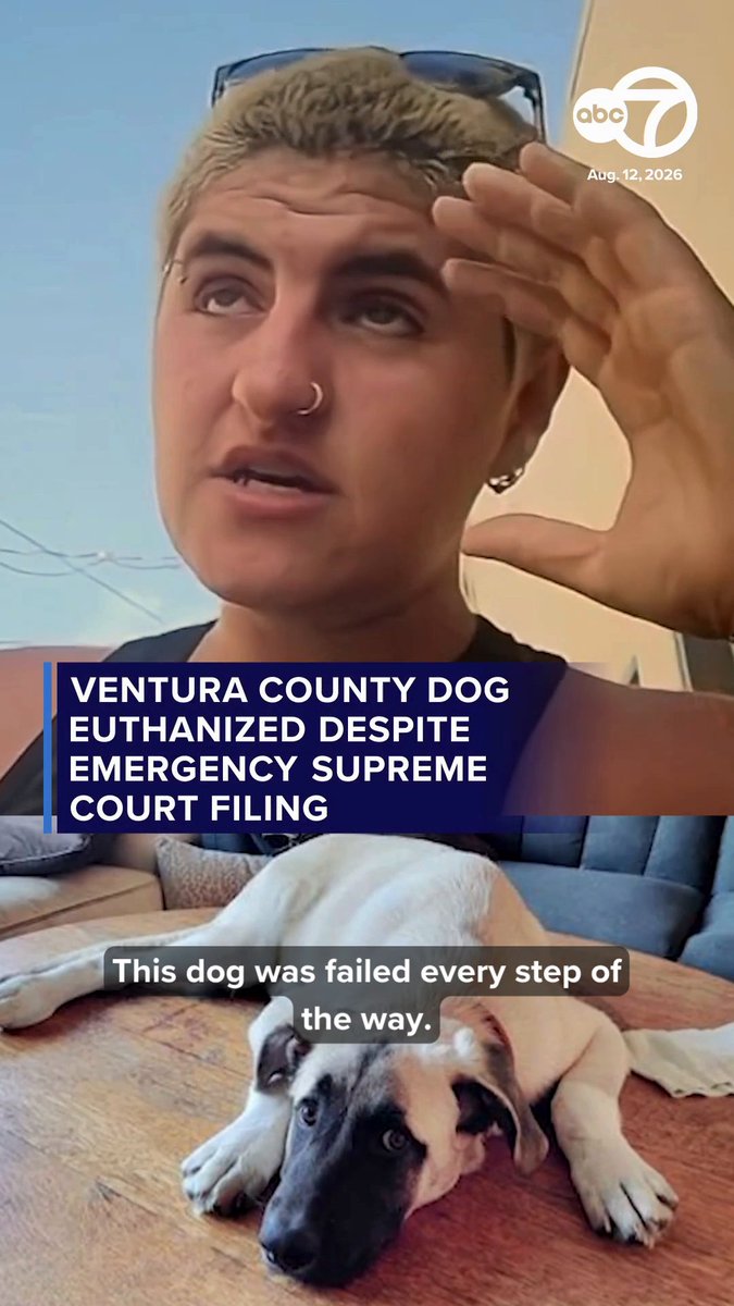 A 3-year-old Great Pyrenees mix named Bruce was euthanized after being deemed vicious following several biting incidents, despite an emergency request that reached the desk of U.S. Supreme Court Justice Elena Kagan on Wednesday. Read more: