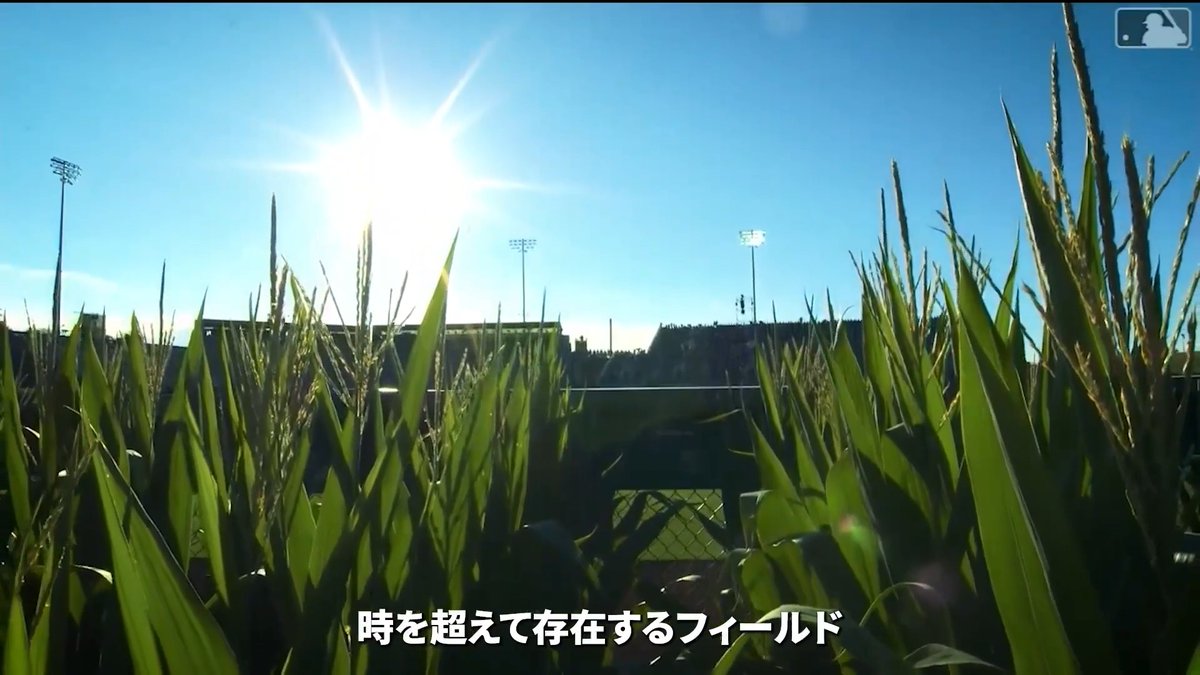 🌾トウモロコシ畑の夢の球場にMLBが帰ってくる！ ━━━━━━━━━━━━━━━━━━━ 明日「フィールド・オブ・ドリームス」で #フィリーズ と #ツインズ が激突します！ ━━━━━━━━━━━━━━━━━━━ 数多のレジェンドを輩出してきた伝統の二球団は、天国…いや、アイオワの地でどのような戦いを繰り広げるのでしょうか？ #字幕付き動画