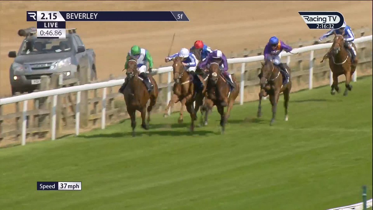 11 Not My Type defies a penalty to gamely remain unbeaten ✅