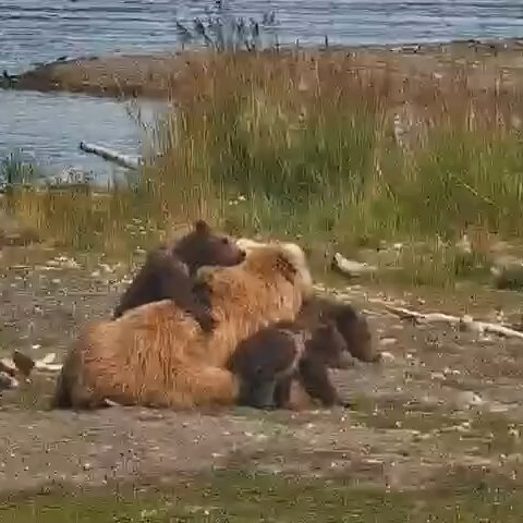 Can't get close enough to Mom.