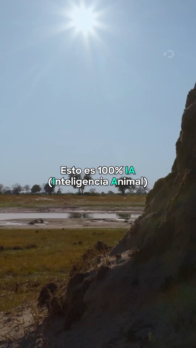 Esa IA sí nos interesa. #Gladiadores