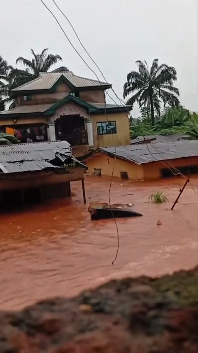 Watch: Ongoing world transatlantic and other ocean-crossing rowing races happening live in Nkpor, Anambra State.