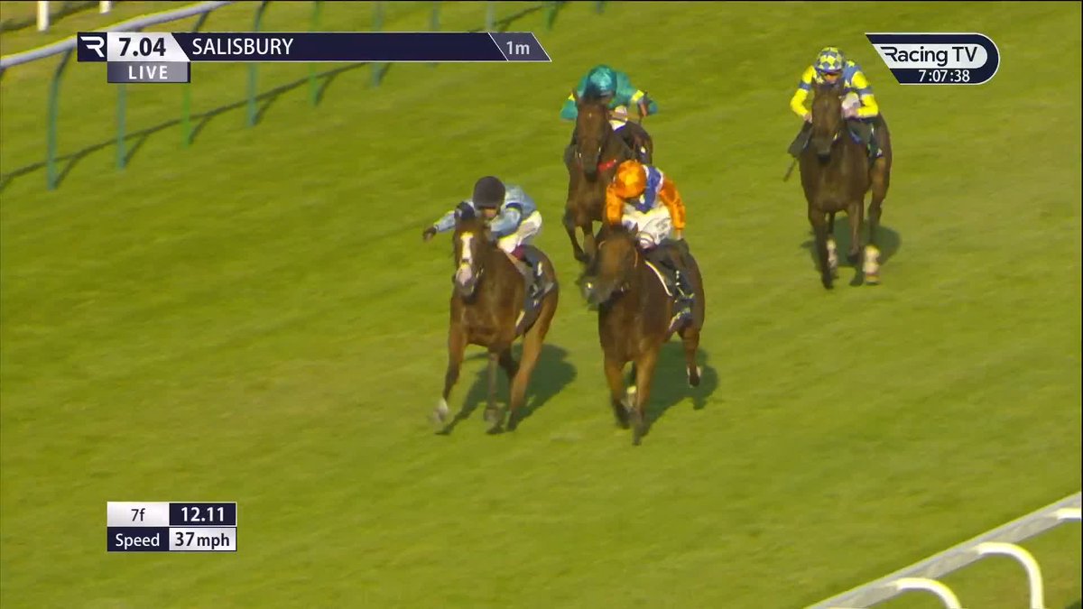 Clarity was a worthy nemesis, but ๐๐ข๐๐ง๐ ๐๐ญ๐จ๐ซ๐ฆ (Night Of Thunder) stayed strong in the Tattersalls ยฃ40,000 British EBF Fillies' Novice Stakes Salisbury Racecourse