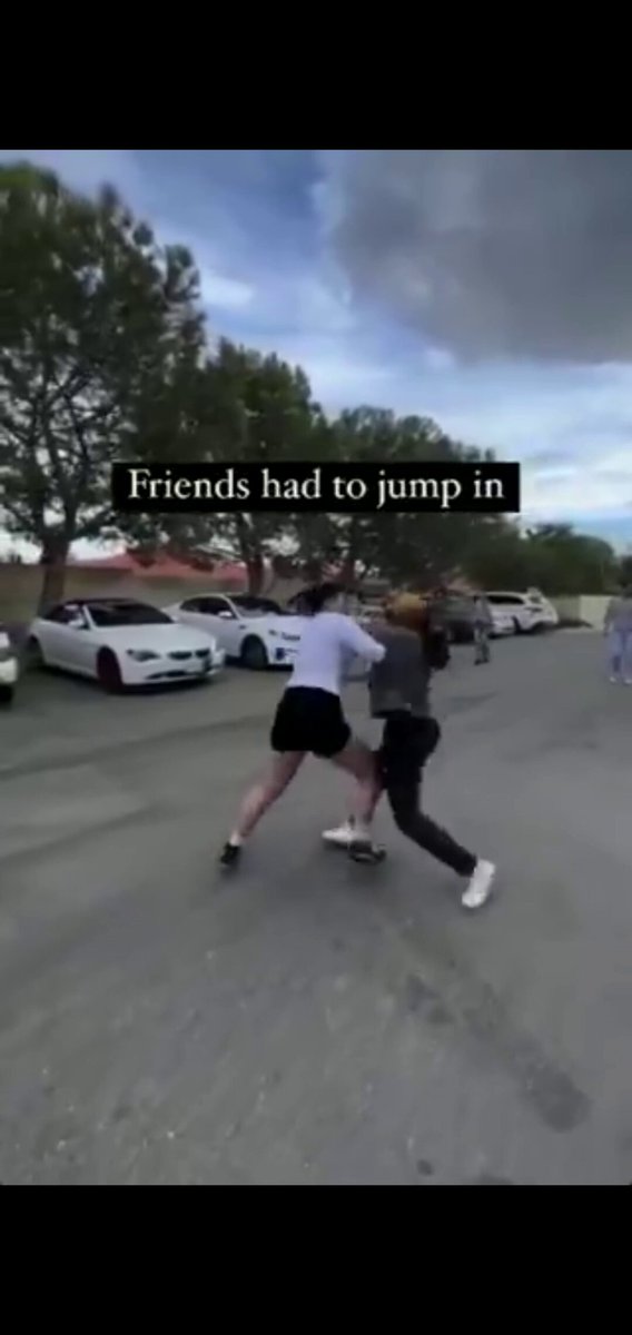 This girl fight rivals any 2 wannabe gangsta street fight...