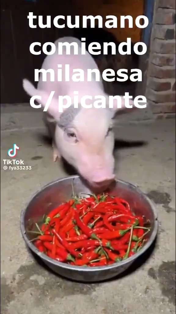Después no me digan que no les avisé! eh!