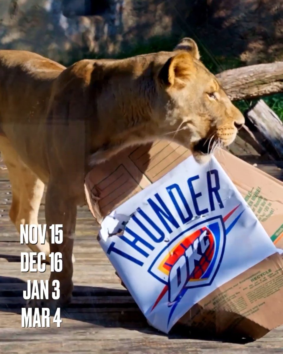 took a visit to the @sacramentozoo for the king and queen of the animal kingdom 🦁 ⠀ view the full schedule and find tickets at ⠀ Schedule Release presented by @ticketmaster
