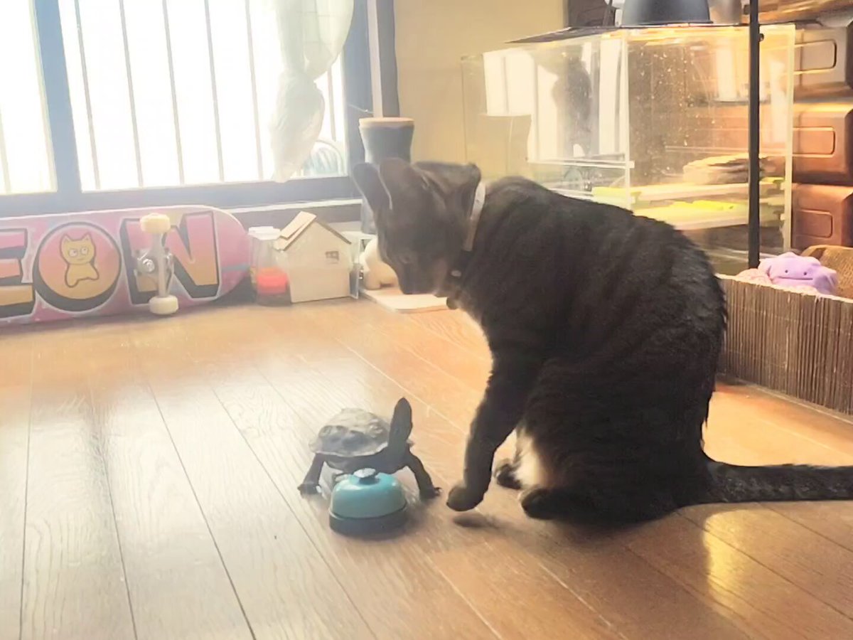 スケボー亀、ベルの鳴らし方を教えてもらう