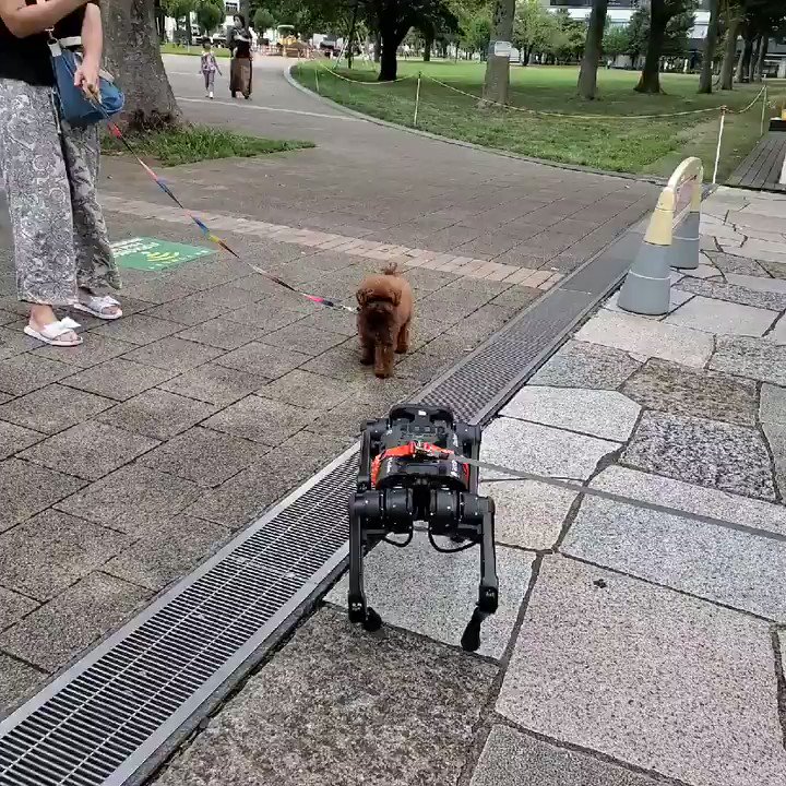 ロボットを初めて見たワンちゃん、放心状態