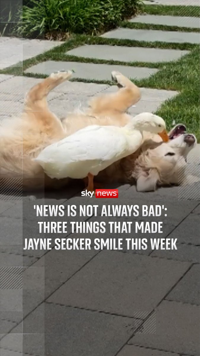 Dogs, ducks, eclipses and Mars bars - here is what made JayneSeckerSky smile this week ⬇️ More videos from Sky News: