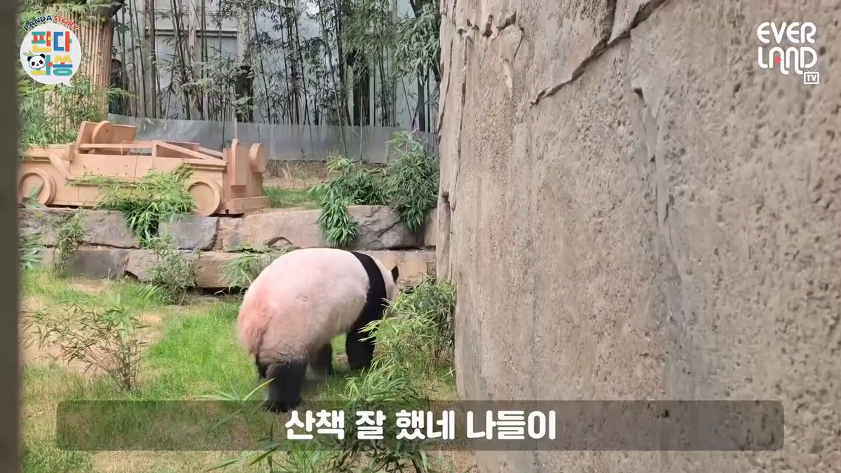 정말 주키퍼님들 세심함은 👍👍 아이바오가 조금이라도 편하게 다닐 수 있도록 살펴주고 필요한 걸 바로 만들어주는 마음이 너무 따뜻하다 이런 게 진짜 돌봄이지