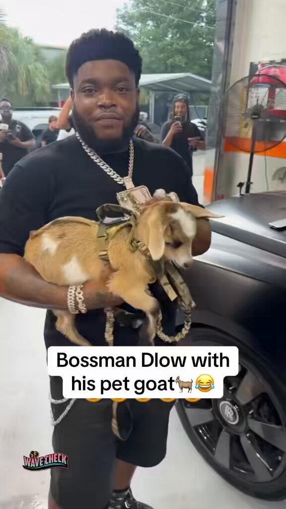 Bossman Dlow with his pet goat 😂🐐