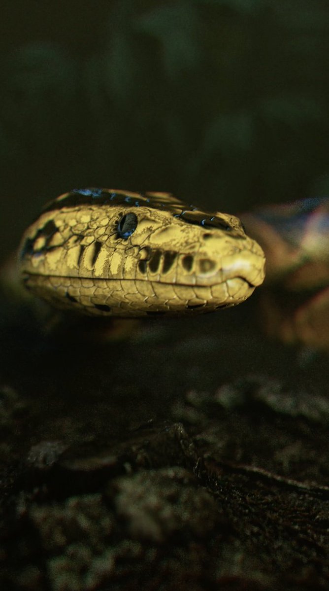 The reactions are in… 🐍 #BewareBoiuna - trailer out now. Only in theaters October 2.