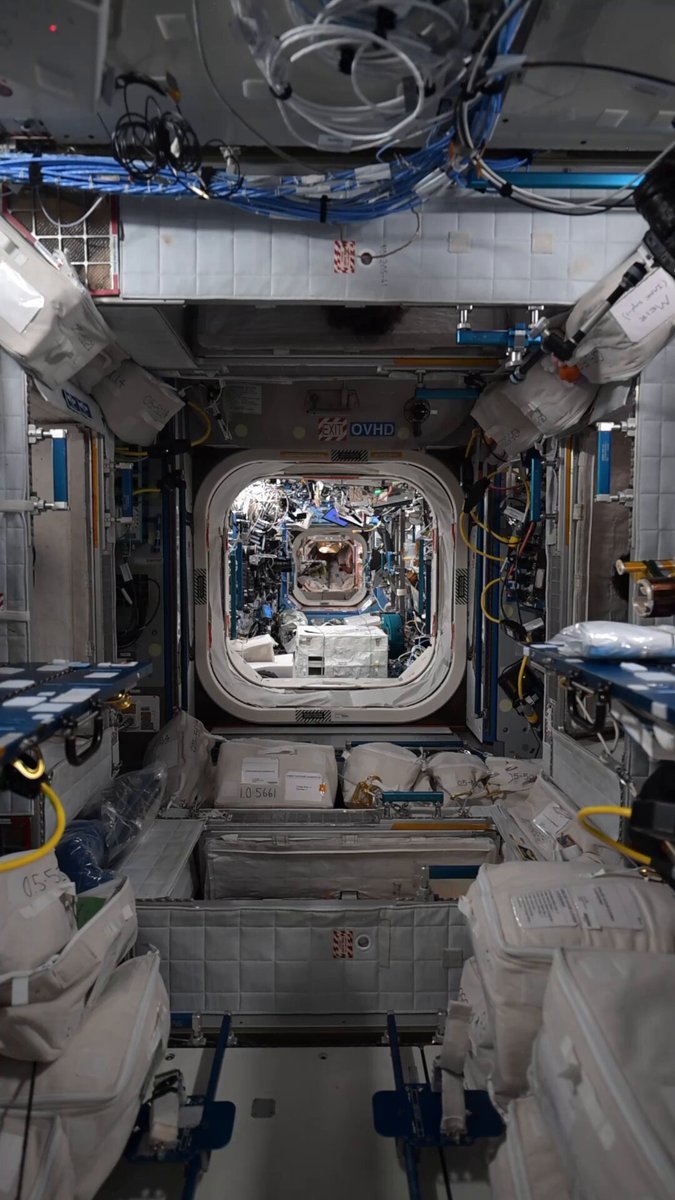 [🇫🇷 version FR 👇] Day 182, orbit 2822 — Living and working in 3 dimensions is amazing… Your brain adapts surprisingly quickly, and before long, it feels perfectly normal to see people floating in from every direction, in any orientation! In this video, we were each in our crew quarters, on four different walls! Chris Williams is now back on Earth, with his feet firmly planted on the ground, and probably missing microgravity 😊 🎥 European Space Agency / NASA Jour 182, orbite 2822 – Quelle expérience incroyable que de vivre et travailler en trois dimensions ! Le cerveau s’adapte étonnamment vite, et sans même s’en rendre compte, il devient parfaitement normal de voir des collègues arriver de toutes les directions, dans n’importe quelle orientation. Dans cette vidéo, nous étions chacun dans notre propre cabine de couchage, installée chacune sur un mur différent ! Chris Williams est maintenant de retour sur Terre, les pieds fermement posés sur le plancher des vaches, et j’imagine que la micropesanteur lui manque 😊 #εpsilon • International Space Station • NASAJohnson • CNES • European Space Agencyspaceflight • ESA en français