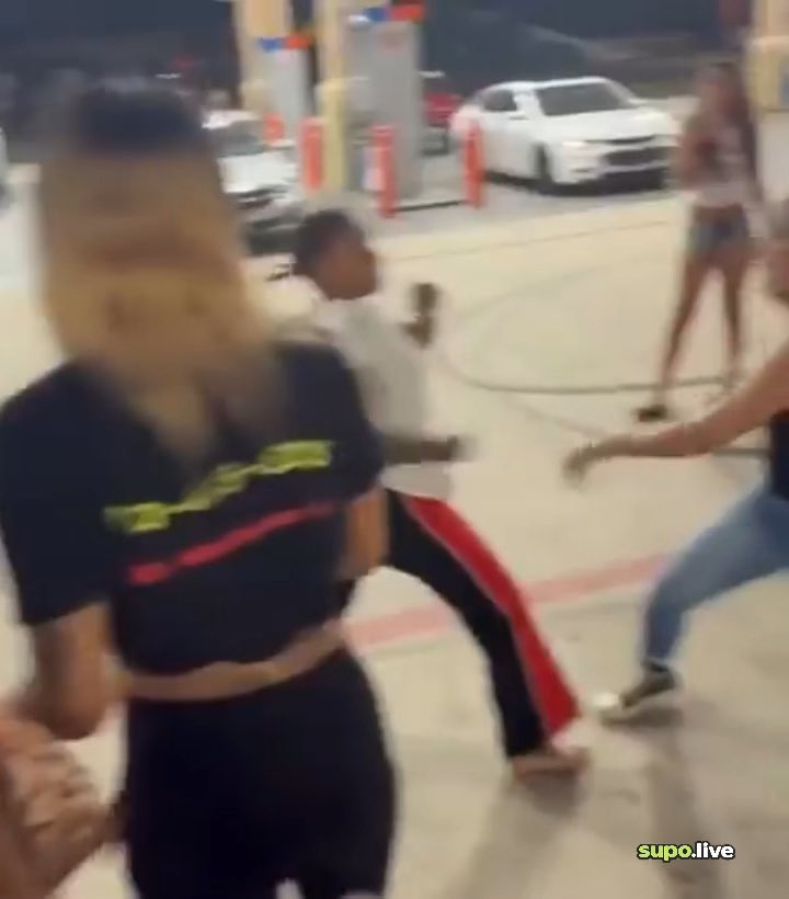 Cameraman wanted the brawls more than anyone else😭😂