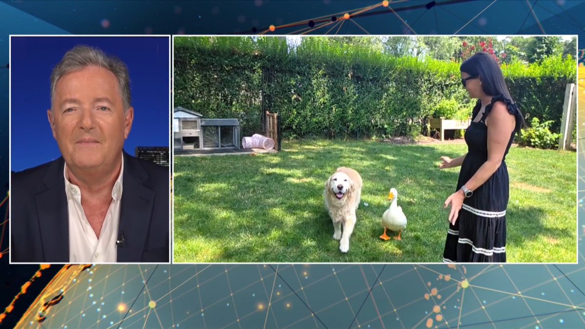 Piers Morgan meets Barley the epileptic dog who beat her depression with the help of her feathered friend Louis the duck... Watch more 👇 📺 Piers Morgan