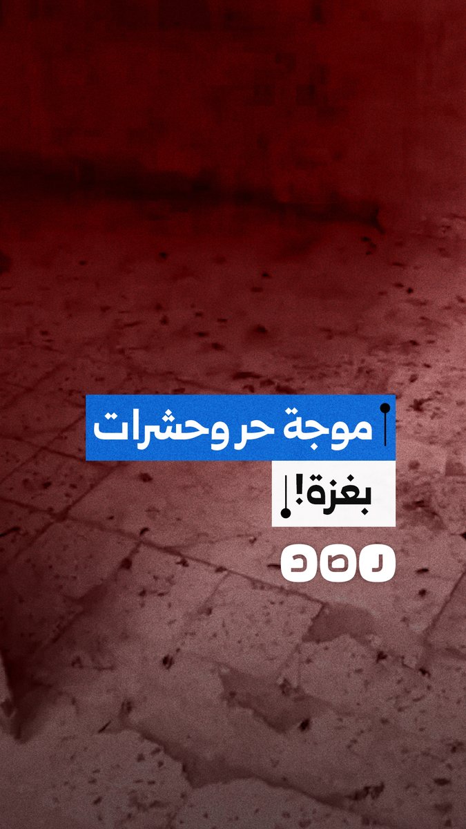 "وسط موجة حر شديد".. صراصير تغزو أماكن إيواء النازحين في غزة