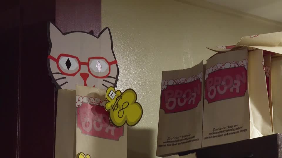 CatVideoFest 2026, curated by founder Will Braden, offers unique cat videos in theaters nationwide, with ticket sales supporting local animal shelters