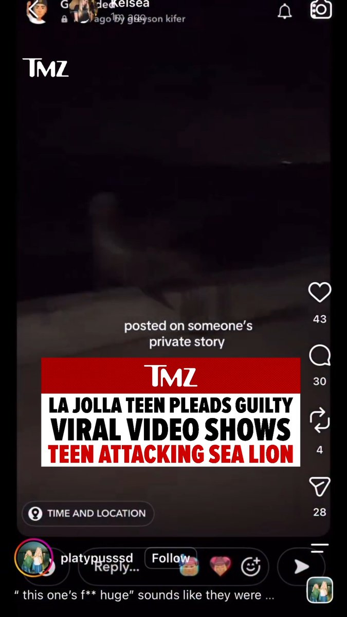 😳 Following the viral video of a teen kicking a sea lion on the San Diego coast, an 18-year-old has pleaded guilty to harassing wildlife three weeks after the incident.