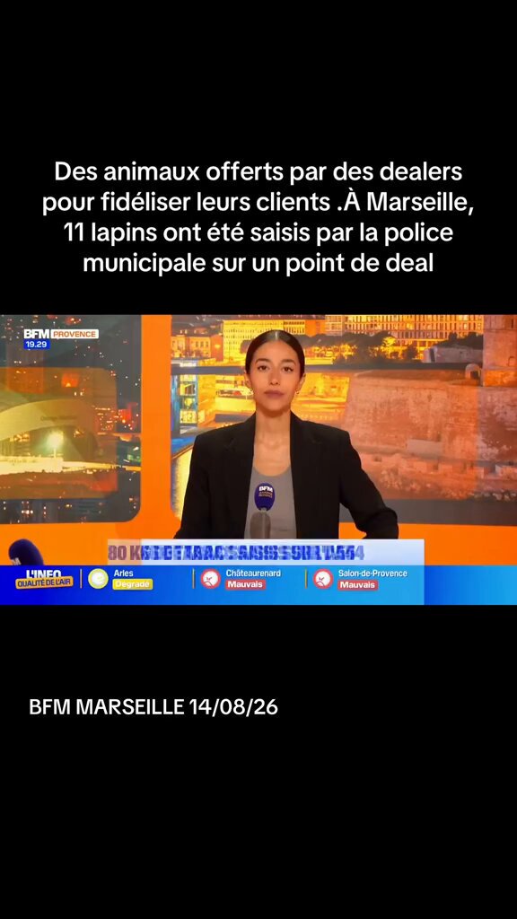 🚨🐰🇫🇷 TOTALEMENT LUNAIRE | À Marseille, la police municipale a découvert 11 LAPINS sur un POINT DE DEAL. Les animaux auraient été offerts par des dealers à leurs clients afin de les fidéliser. Les 11 lapins ont été saisis par les policiers. (BFM Marseille)