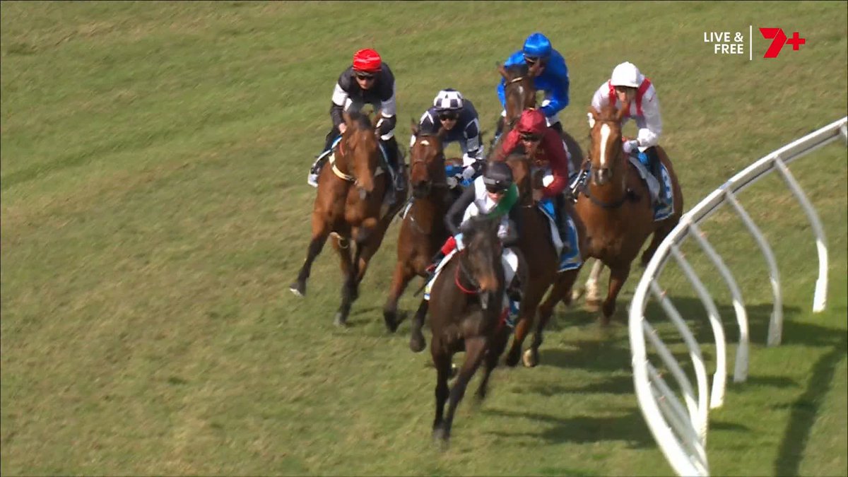 Yellow Jersey edges out Mr Brightside in a star-studded trial to commence the day at Caulfield 🤩