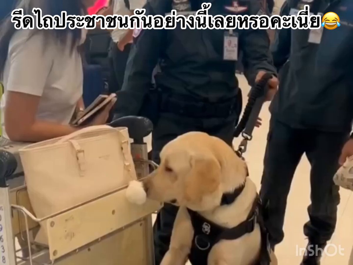 แล้วเจ้าหน้าที่อมของประชาชนแบบนี้เนี่ยนะ‼️😉 . 💥ไข่ตุ๋นมาแล้วคร๊าบ