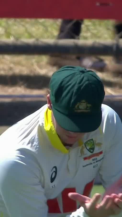 You wouldn't believe it! Two dropped catches for Australia in one over 😬 #AUSvBAN