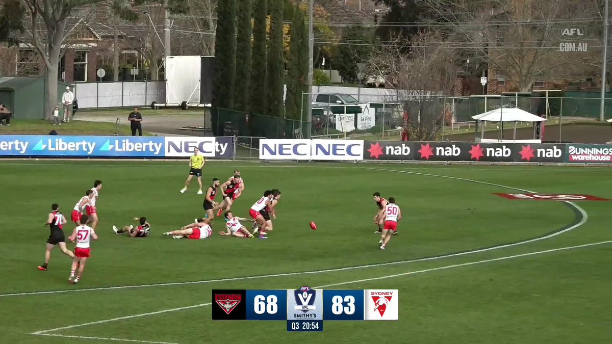 Elijah Tsatas has this Essendon crowd ROARING 🔥 🎥: Watch the Smithy’s VFL live and free on the AFL website and AFL Live Official App: