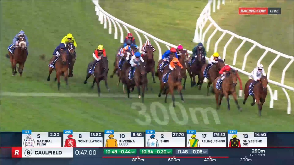 Quezette Stakes | Natural Fling The 3YO filly annihilates her opposition with a dominant victory in the G3 Quezette Stakes for McEvoy Racing, bringing up a double for Damian Lane 🔥 📺 Ch. 78/68, Foxtel 529, Kayo or via our app REPLAYS: