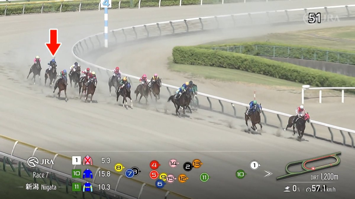 【3年1か月ぶりの勝利🎉】 #エンヤラヴフェイス が直線後方2番手から鮮やかな差し切り勝ち！ 2023年のデビューV以来の白星をあげました✨ [新潟7R 上越ステークス ダート1,200m]