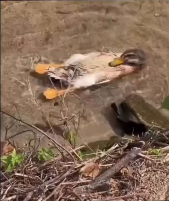 Hayatın tadını çıkarmak tam olarak böyle bir şey.