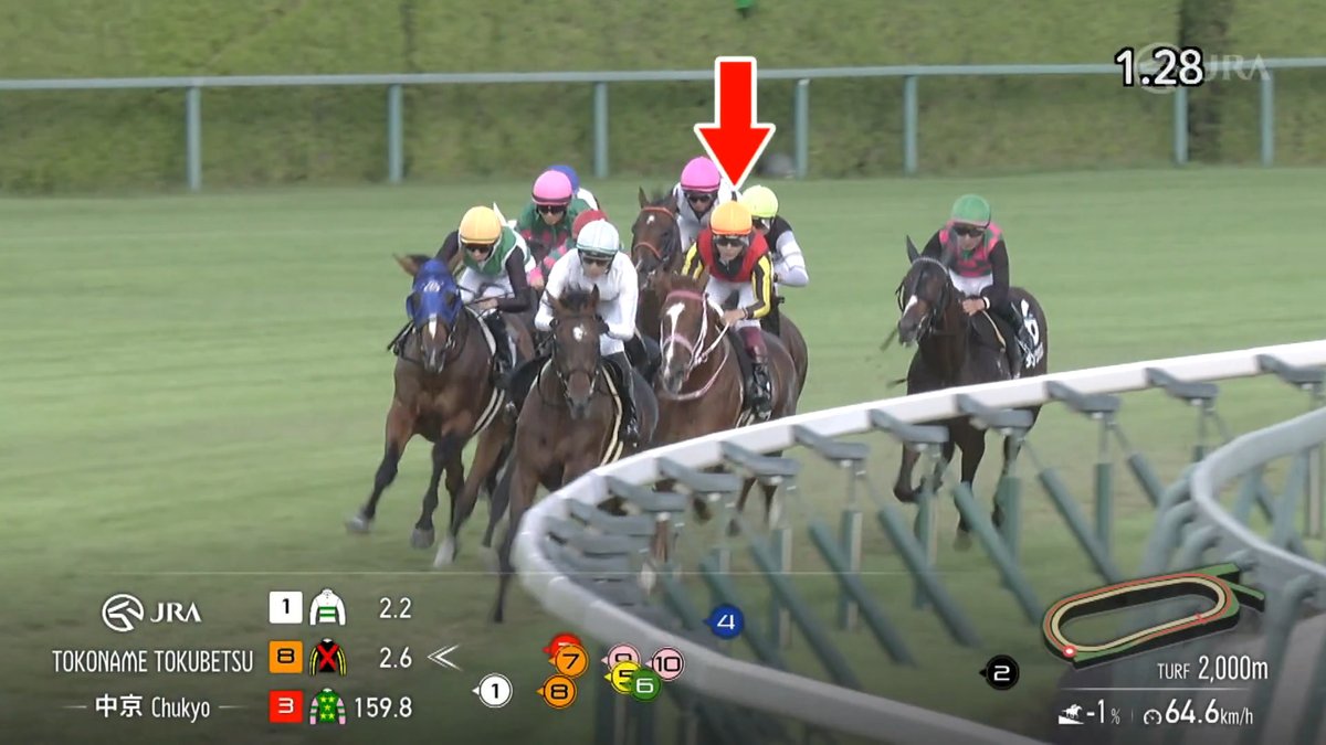 【半姉に #チェルヴィニア】 #チェルヴァーラ がアクセスとの壮絶な追い比べを制して2勝目🙌 半姉に2024年のオークス・秋華賞を勝ったチェルヴィニアがいる血統です🐴 父 エピファネイア 母 チェッキーノ [中京8R 常滑特別 芝2,000m]