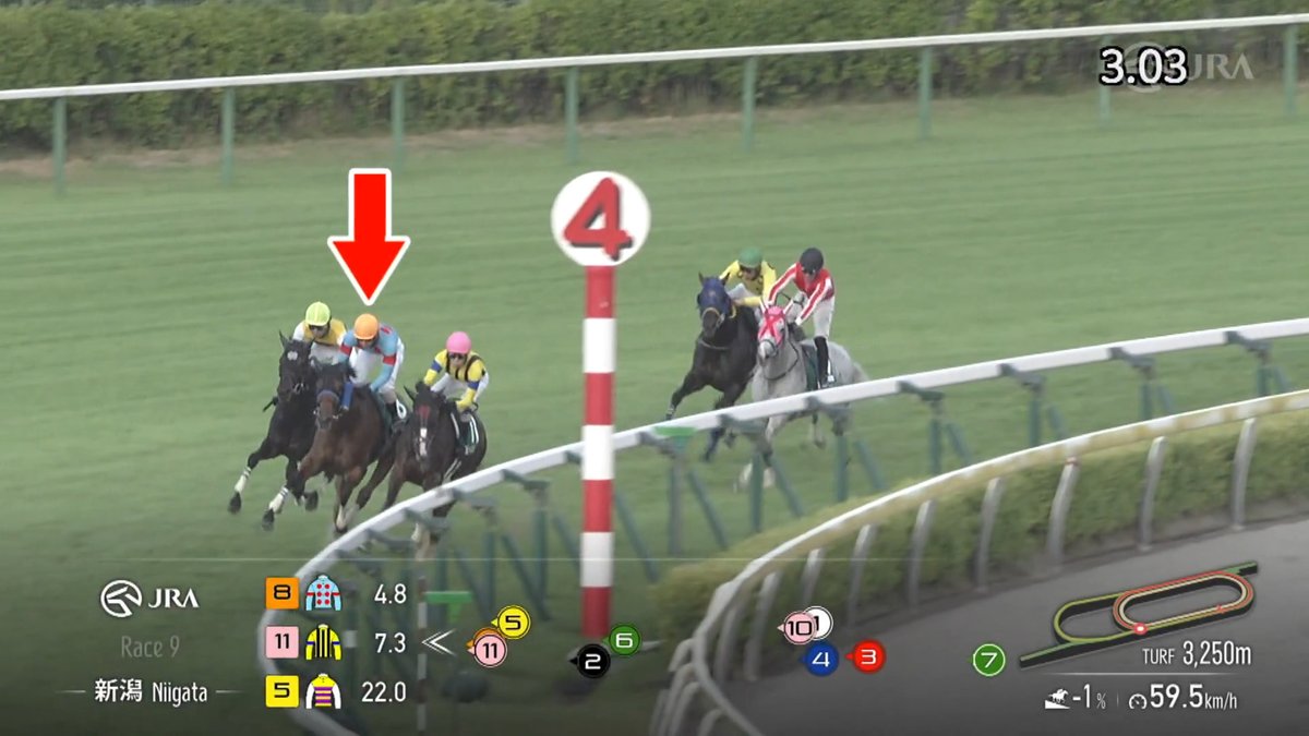 【JRA障害重賞2勝目🔥】 #ローディアマント が好位追走から粘って差し切り勝ち！ 昨年の京都ジャンプステークス以来となるJRA障害重賞勝利です✨ 父 サトノダイヤモンド 母 ブロッサムレーン [新潟9R 新潟ジャンプステークス 芝3,250m]