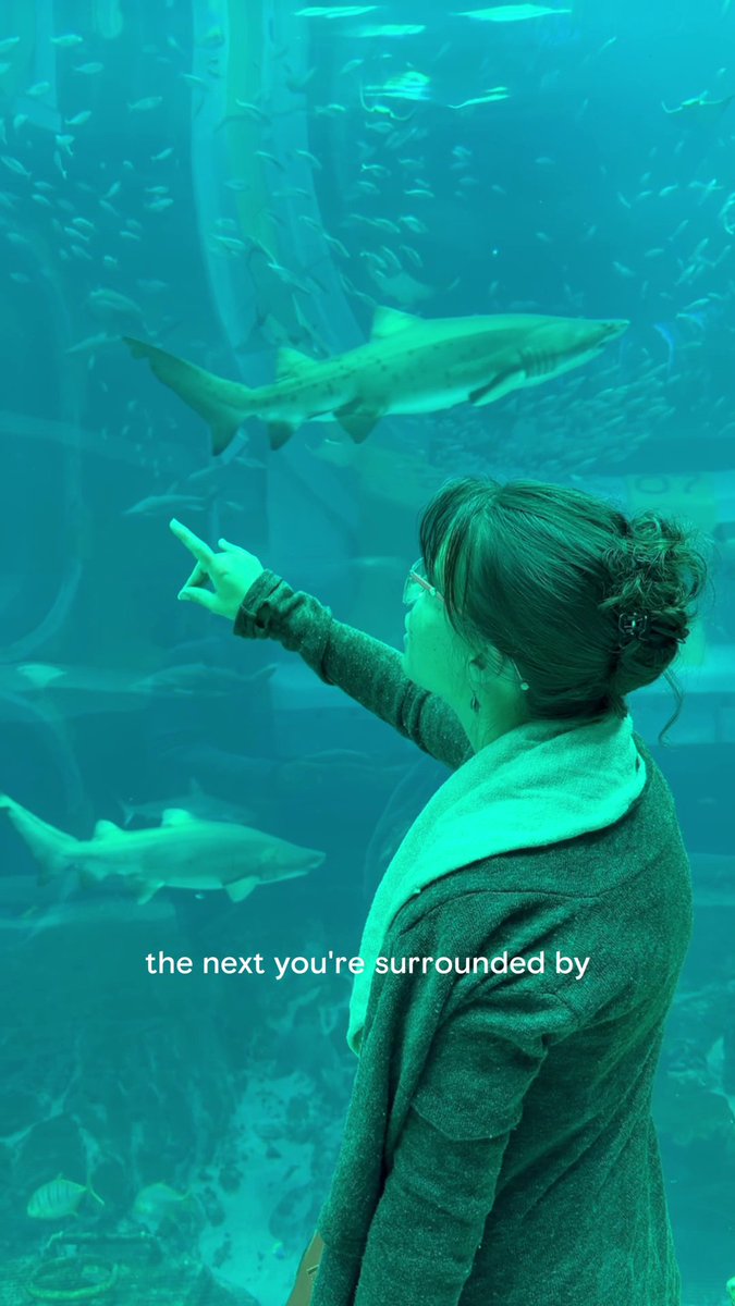 This is the one activity the whole family will agree on inAbuDhabi SeaWorld Yas Island, Abu Dhabi never disappoints. Send this on the family groupchat! 📸 IG: sunshine_mum_travel_adventures Yas Island جزيرة ياس