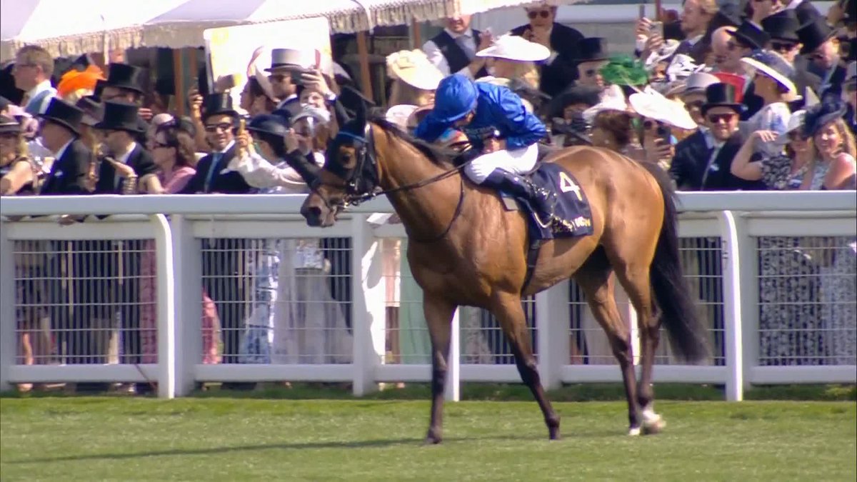 Trawlerman has been retired for Godolphin. The Ascot Gold Cup winner was a mighty stayer with a huge heart! 🏆💙