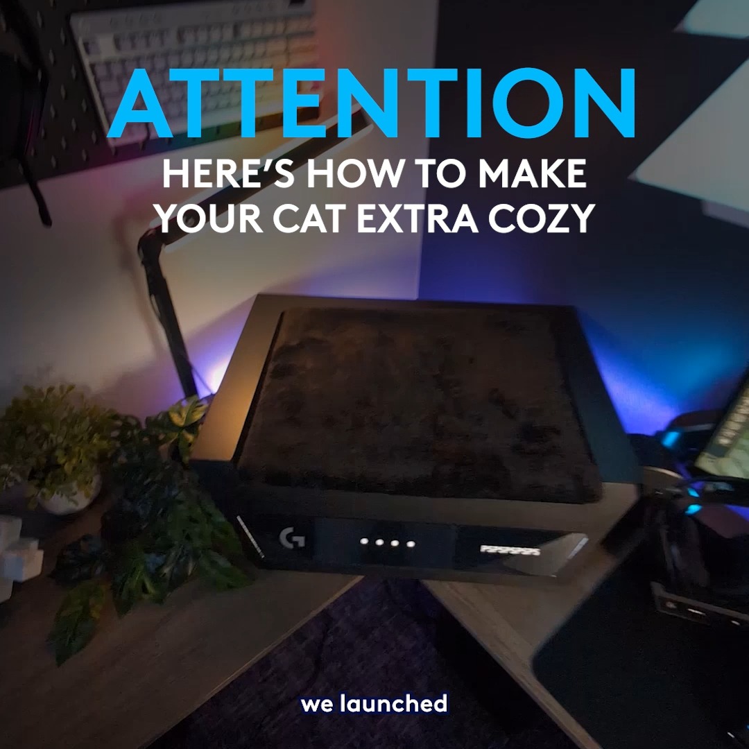 ✅ Life size ✅ Plans included ✅ Kitty tested (and approved) If you’ve asked for a real LAYSTATION, this one’s for you (and your kitty co-op). Download the 3D print file here: