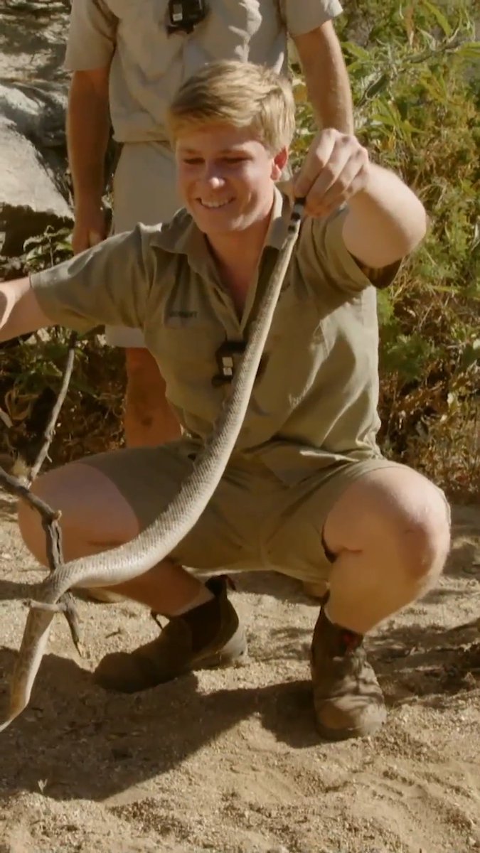 Robert Irwin's FIRST rattlesnake! 😲🐍 #crikeyitstheirwins #robertirwin #irwinfamily