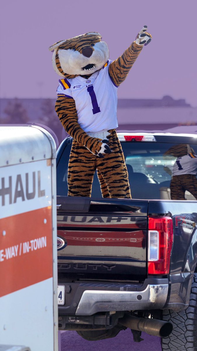Welcome home, Tigers! 💛 💜