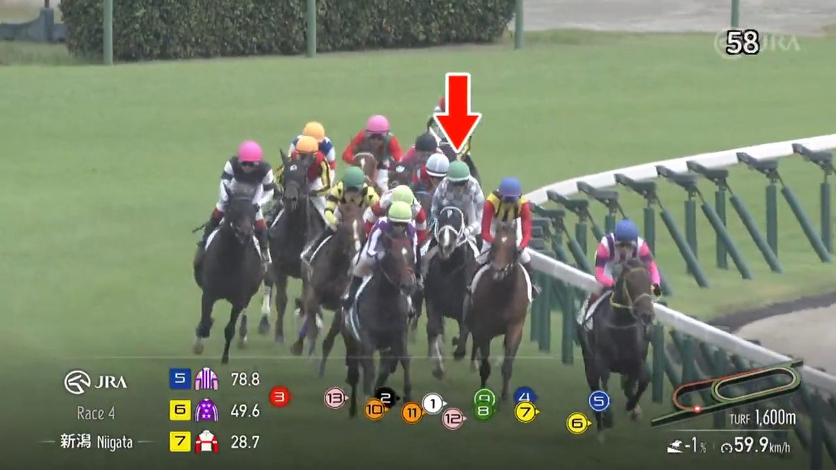 【母はJRA重賞4勝 #スマートレイアー】 #トップレイアー が直線で先頭に立つとそのままデビューV🎉 半姉に今年のフラワーカップを制した #スマートプリエール がいる血統です🐴 父 モーリス 母 スマートレイアー [新潟4R 2歳新馬 芝1,600m]