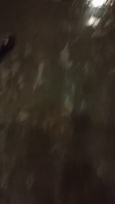 Mientras cae torrencial #lluvia en #Ccs con tormenta eléctrica y #apagones incluidos aquí vemos el dolor de 115 familias de la Misión Vivienda OPP-10 en #SantaRosalía quienes sobreviven en carpas luego que su edificio quedara inhabitable por el doble #terremoto, el palo de agua les destruyó los toldos dejando muchos niños y ancianos a la intemperie pero Carmen Meléndez-Jacqueline Faria decidieron ignorar la tragedia post sismo abandonándolos a su suerte ¡Frente Norte de Ccs 24/7!