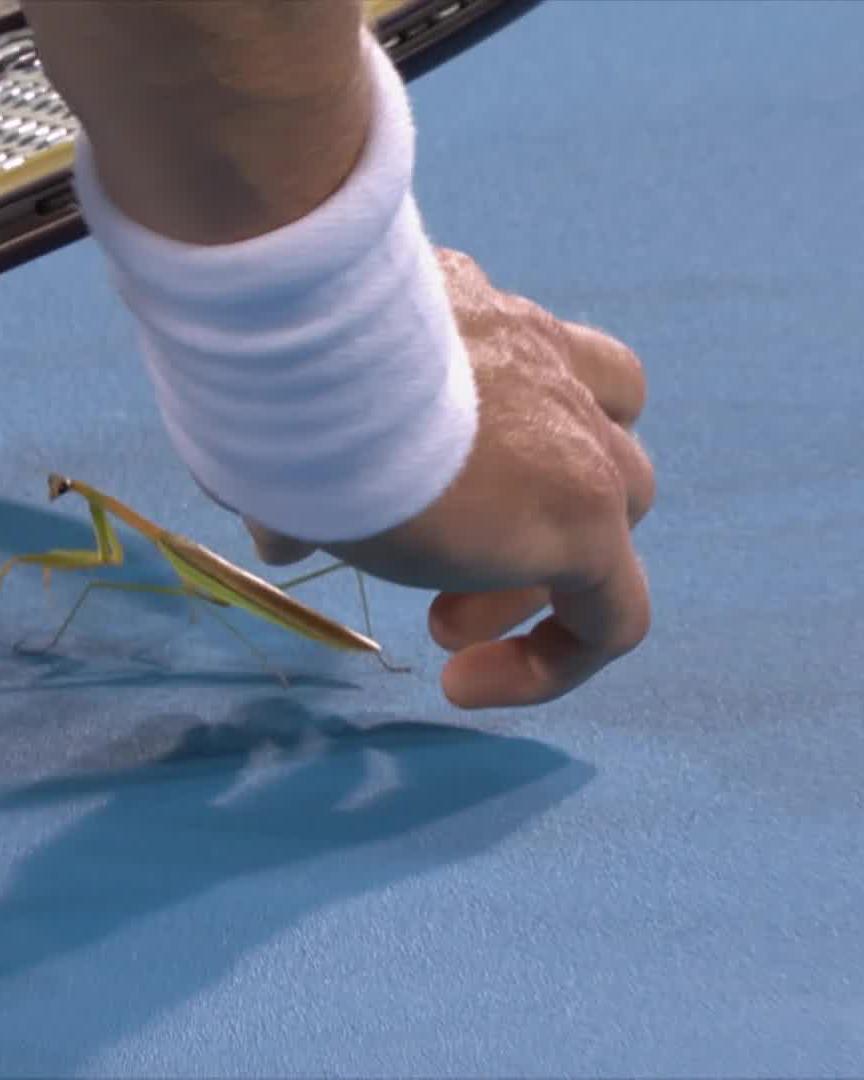 A bug's life was spared tonight. Alexander Zverev 👍 #CincyTennis