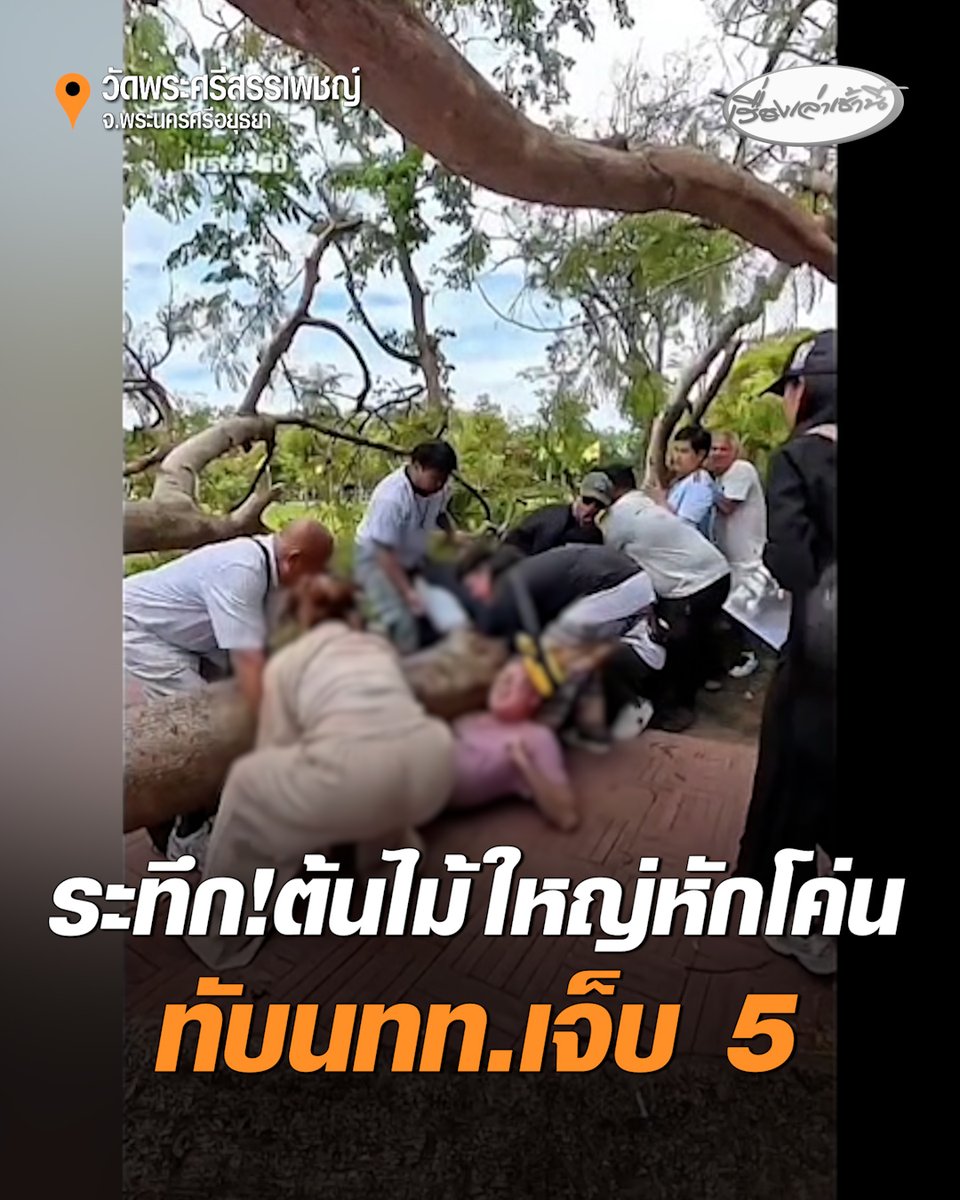 ระทึก! ต้นหางนกยูงขนาดใหญ่ หักโค่นทับนักท่องเที่ยว ขณะเดินชมโบราณสถานในวัดพระศรีสรรเพชญ์ พระนครศรีอยุธยา บาดเจ็บ 5 ราย พบสภาพต้นไม้อายุเก่าแก่ ลำต้นผุ ประกอบกับขณะเกิดเหตุมีลมกระโชกแรง ทำให้ต้นไม้หักโค่นลงมา #เรื่องเล่าเช้านี้ #ครอบครัวข่าว3 #ข่าวภูมิภาค #พระนครศรีอยุธยา
