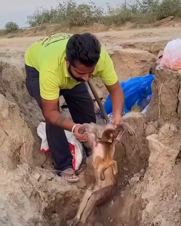 الرحمة ليس فقط بالبشر....