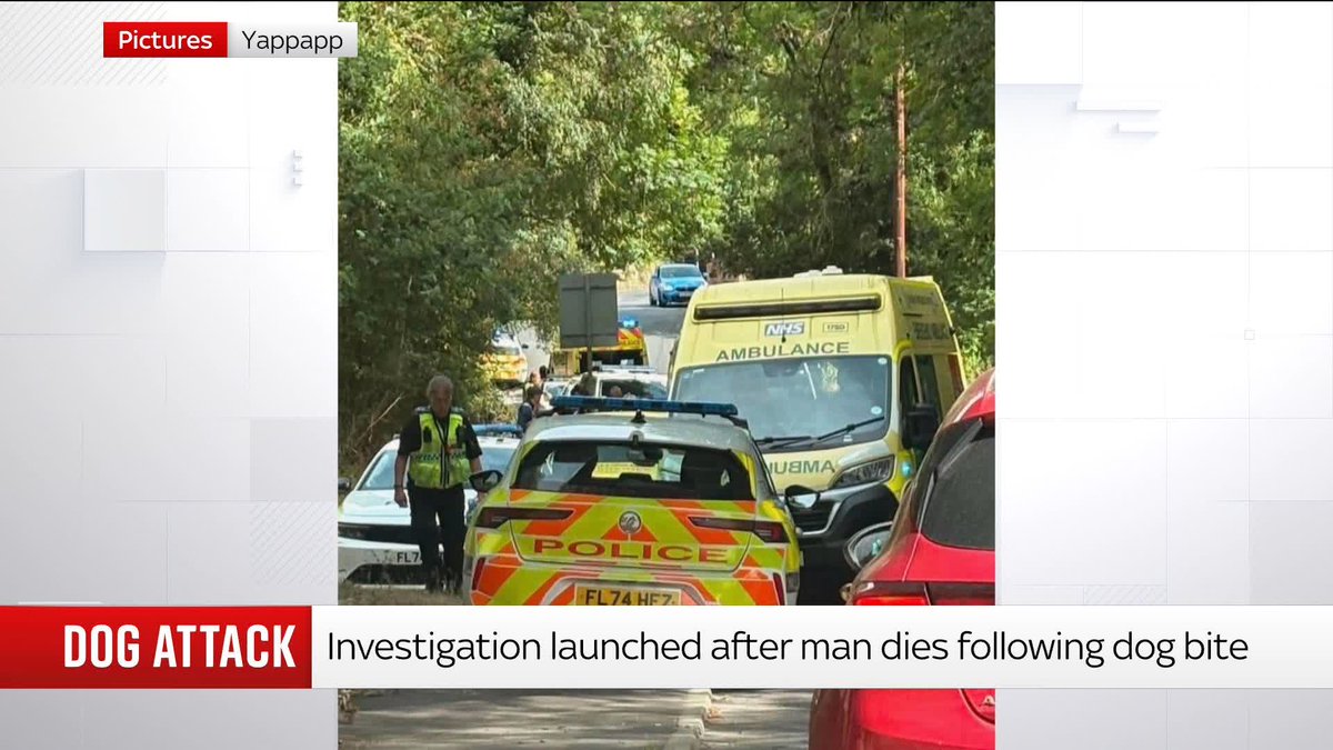 Police are investigating the death of a 55-year-old man after an altercation in Wakefield, West Yorkshire, in which he was bitten by a dog. Another man has been arrested on suspicion of murder. Sky's @EmmaBirchley has the latest ⬇️ Read more: