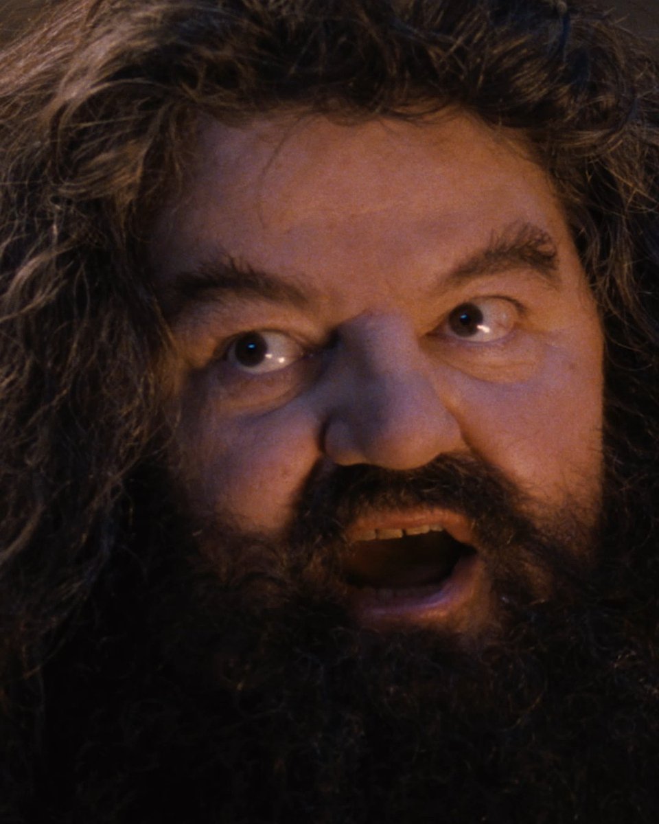 Magical news...✨ Harry Potter and the Philosopher's Stone is back on Cineworld screens, August 28 to 31 🧙‍♂️ Accio tickets! ➡️