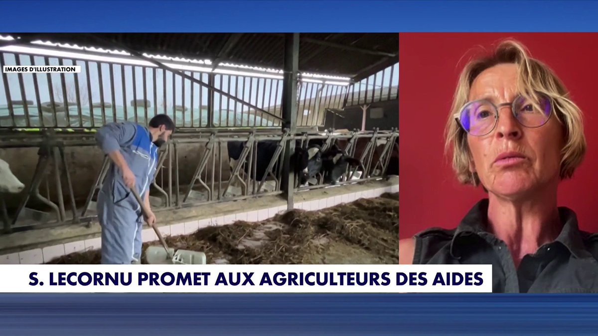 Sécheresse : «L'agriculture s'effondre, et toute l'économie qui va avec», alerte Véronique Le Floc’h, agricultrice et ancienne présidente de la Coordination rurale, dans #PunchlineEte Toute l'info est à retrouver sur