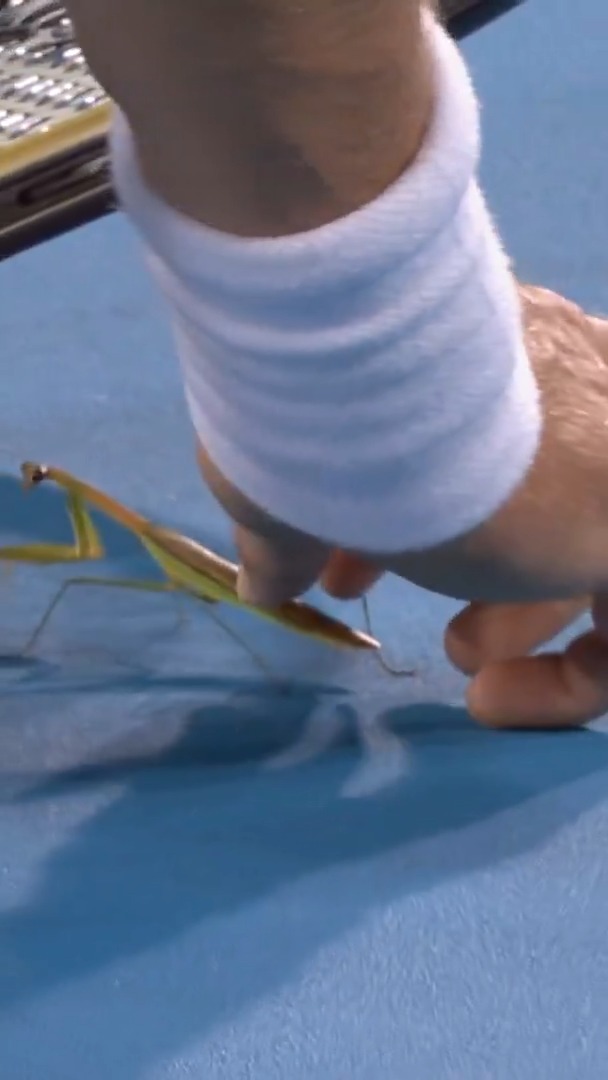 Zverev salvó la vida de un insecto en su debut en #Cincinnati. 🫶 📺 Mirá el mejor tenis en el Plan Premium de Disney Plus.