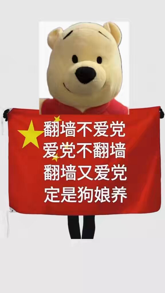自费舔共：常年熬夜，开着VPN翻墙舔共；钱自己掏，墙自己翻，共自己舔，最后共匪连蓝标都不送😂