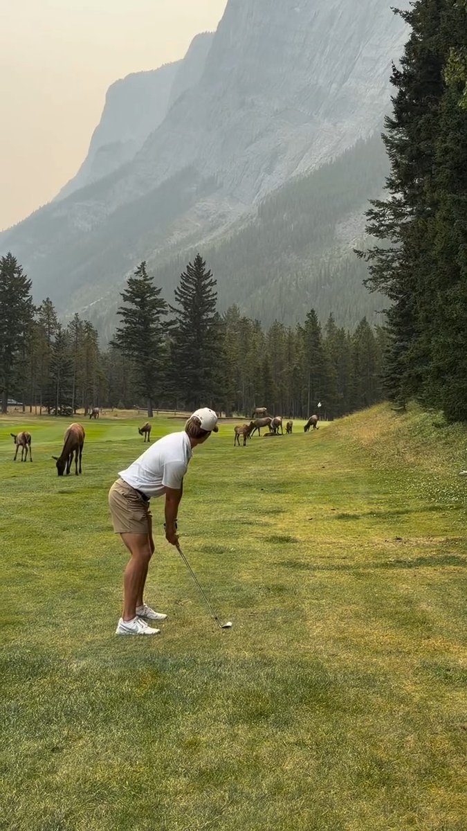 Dude is playing golf straight out of a movie scene