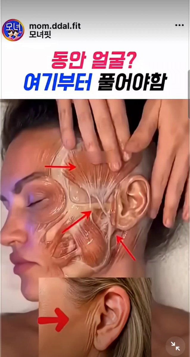 볼살·턱선만 주무르고 있었다면… 진짜 동안 비결은 ‘여기’예요! 동안 얼굴 만들고 싶다고 볼살, 턱선만 열심히 마사지하는 사람들 많죠? 근데 사실 얼굴 근육이 다 모이는 핵심 지점을 다들 놓치고 있었대요. 바로 귀 앞쪽 라인! 이 부위가 뭉치고 긴장되면 → 얼굴선이 무너지고 → 노화가 더 빨리 온다고 해요. 방법은 진짜 간단해요: 1. 턱에 힘 완전 빼고 2. 귀 앞쪽을 사방으로 꾹꾹 눌러주기 3. 귀를 살짝 당겨서 늘려주기 다만 피부를 늘려주는 동작이니까, 자주 하실 거라면 로션이나 크림을 미리 바르고 하는 걸 추천해요! 피부 보호하면서 더 부드럽게 자극할 수 있거든요. 딱 한 번만 해봐도 “아, 그래서 얼굴선이 처졌구나…” 하고 바로 느껴진다는 후기들 폭발 중! 지금 바로 따라 해보면 얼굴이 달라질 수 있어요.